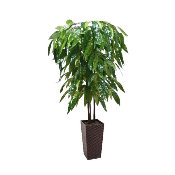 Artificial Artificial Mango Tree | Evergreen Direct