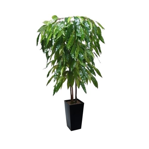 Artificial Artificial Mango Tree | Evergreen Direct