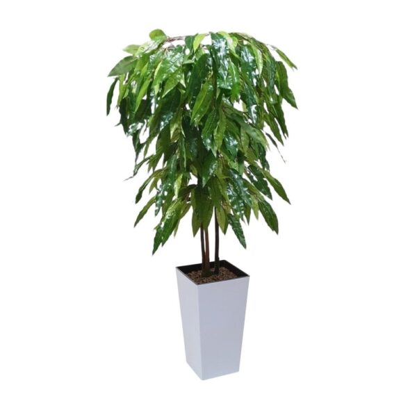 Artificial Artificial Mango Tree | Evergreen Direct