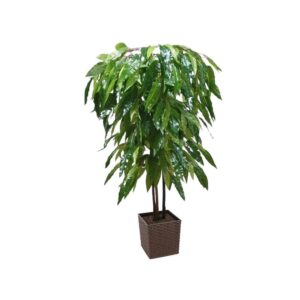 Artificial Artificial Mango Tree | Evergreen Direct