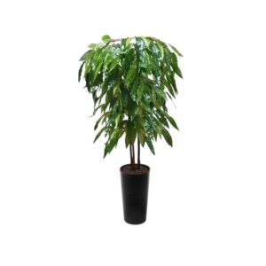 Artificial Artificial Mango Tree | Evergreen Direct