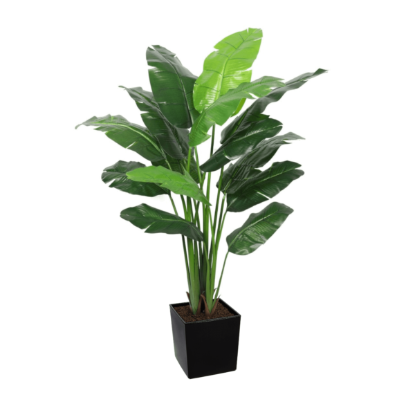 Artificial Interior Banana Tree 220cm | Evergreen Direct