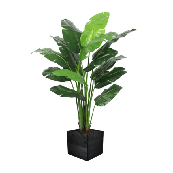 Artificial Interior Banana Tree 220cm | Evergreen Direct