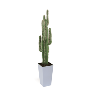 Artificial Premium Cactus Plant 125cm | Evergreen Direct