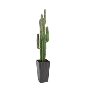 Artificial Premium Cactus Plant 125cm | Evergreen Direct