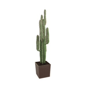 Artificial Premium Cactus Plant 125cm | Evergreen Direct