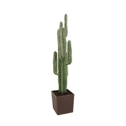 Artificial Premium Cactus Plant 125cm | Evergreen Direct