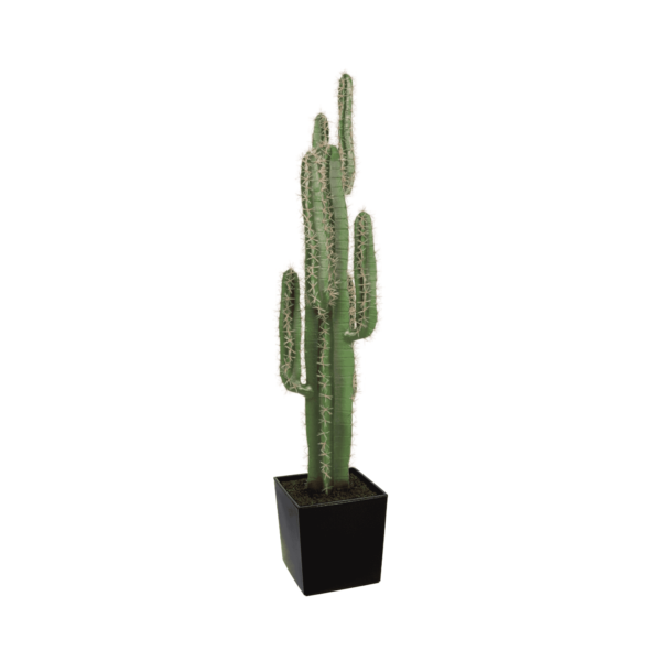 Artificial Premium Cactus Plant 125cm | Evergreen Direct