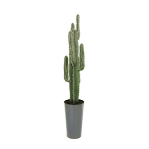 Artificial Premium Cactus Plant 125cm | Evergreen Direct