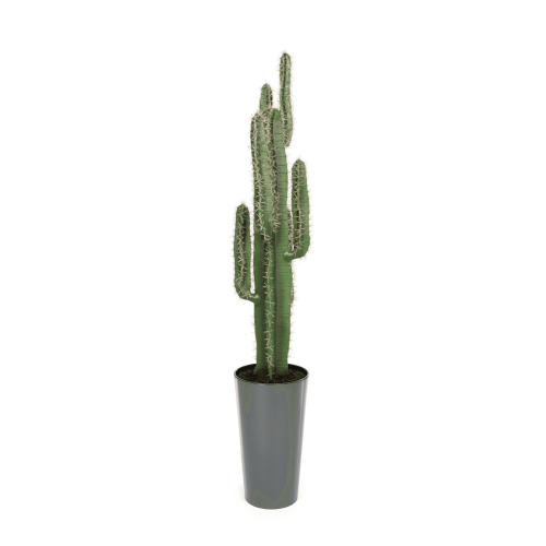 Artificial Premium Cactus Plant 125cm | Evergreen Direct