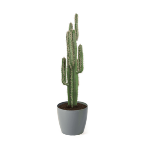 Artificial Premium Cactus Plant 125cm | Evergreen Direct