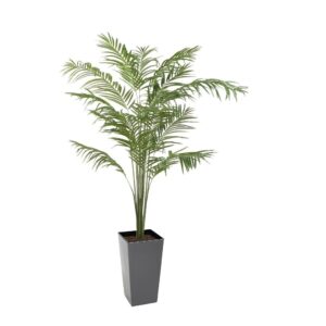 Artificial Oasis Palm Tree | Evergreen Direct