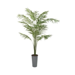 Artificial Oasis Palm Tree | Evergreen Direct