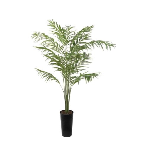 Artificial Oasis Palm Tree | Evergreen Direct