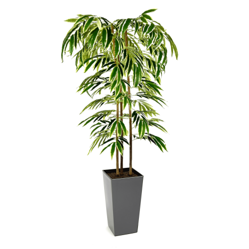 Artificial Ficus Alii Tree | Evergreen Direct