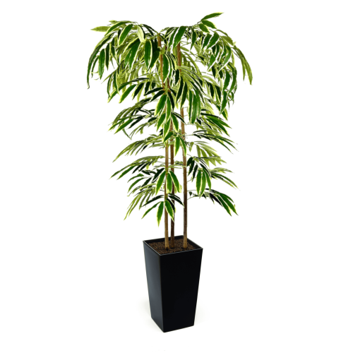 Artificial Ficus Alii Tree | Evergreen Direct