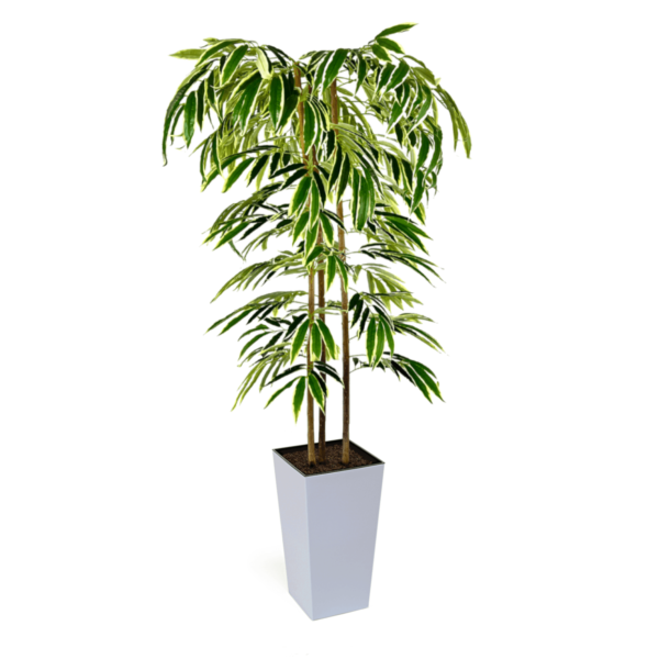 Artificial Ficus Alii Tree | Evergreen Direct