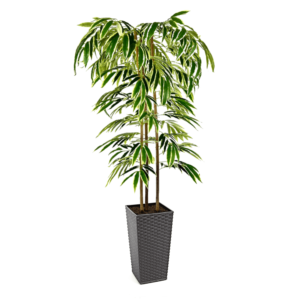 Artificial Ficus Alii Tree | Evergreen Direct