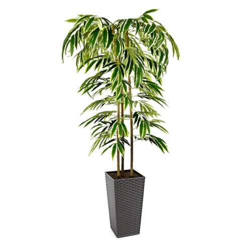 Artificial Ficus Alii Tree | Evergreen Direct