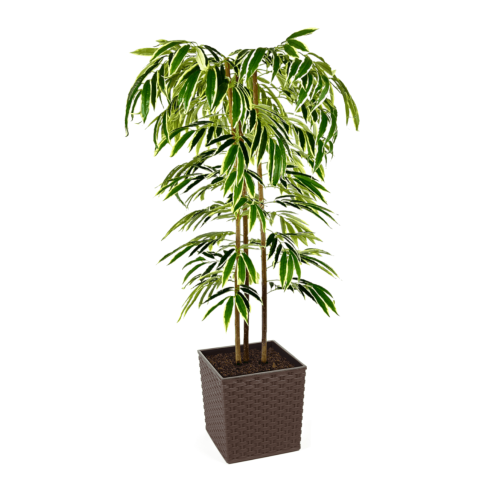 Artificial Ficus Alii Tree | Evergreen Direct