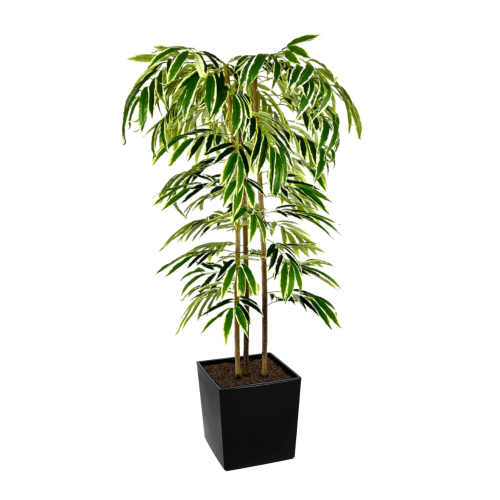 Artificial Ficus Alii Tree | Evergreen Direct