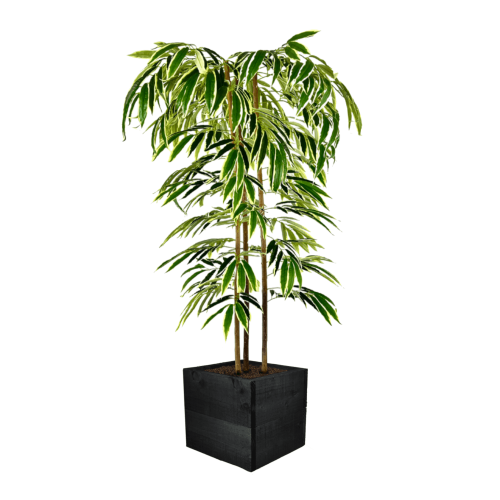 Artificial Ficus Alii Tree | Evergreen Direct