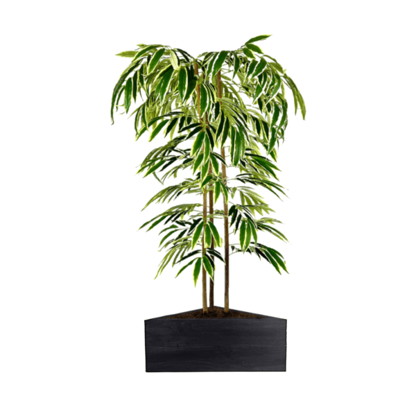 Artificial Ficus Alii Tree | Evergreen Direct