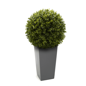 Artificial English Buxus Ball | Evergreen Direct