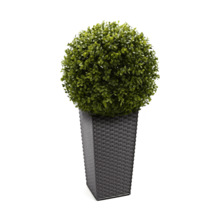 Artificial English Buxus Ball | Evergreen Direct