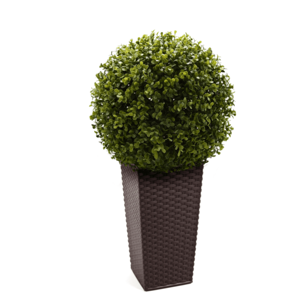 Artificial English Buxus Ball | Evergreen Direct