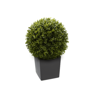 Artificial English Buxus Ball | Evergreen Direct