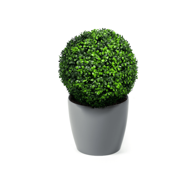 Artificial New Growth Buxus Ball | Evergreen Direct