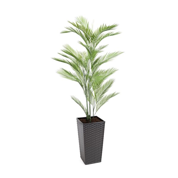 Artificial Mini Palm Tree | Evergreen Direct