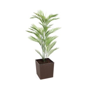 Artificial Mini Palm Tree | Evergreen Direct