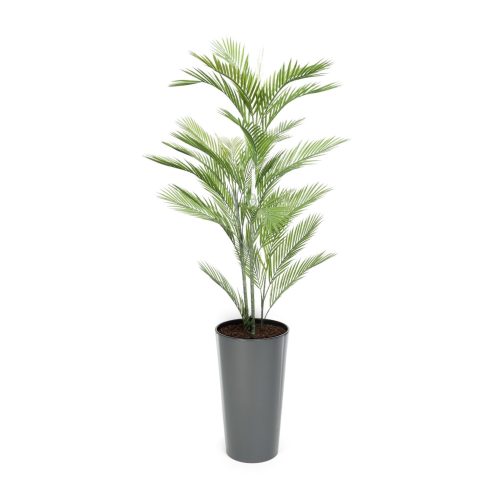 Artificial Mini Palm Tree | Evergreen Direct