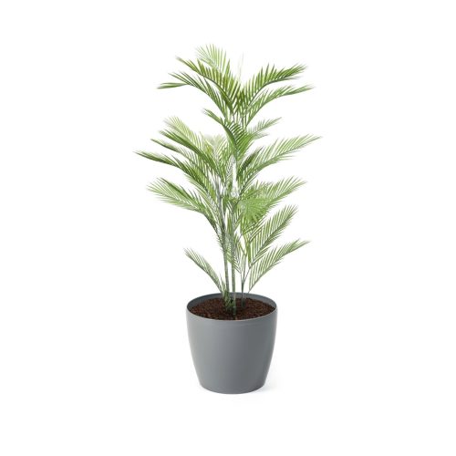 Artificial Mini Palm Tree | Evergreen Direct