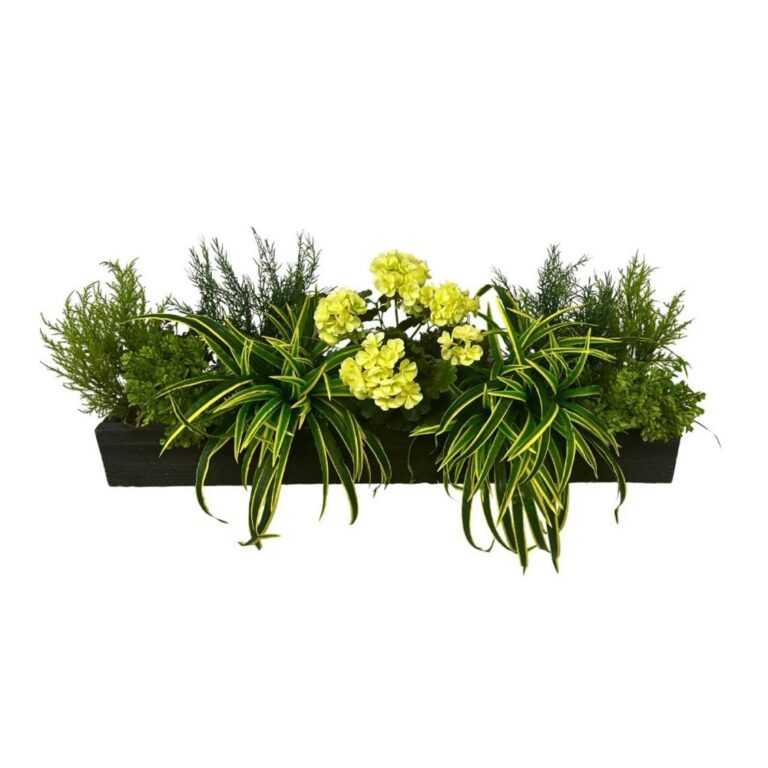 Red Geranium and Dracaena Grass- Natural Box - 100cm