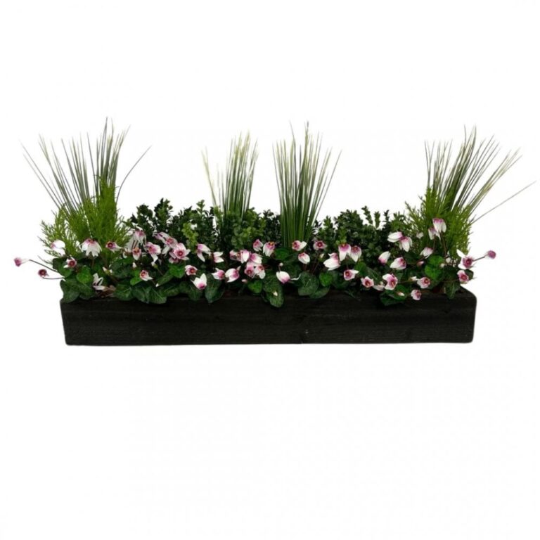 Boxwood & Cyclamen Window Box - Natural Box - 100cm-Pink