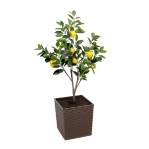 Artificial Lemon Tree at Evergreen Direct