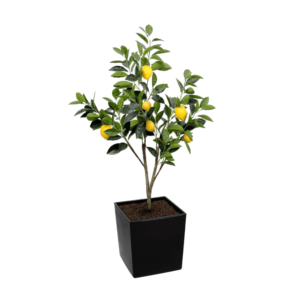 Artificial Lemon Tree at Evergreen Direct