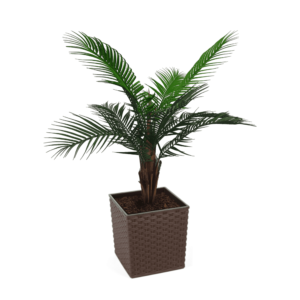 Artificial Outdoor Mountain Palm at Evergreen Direct