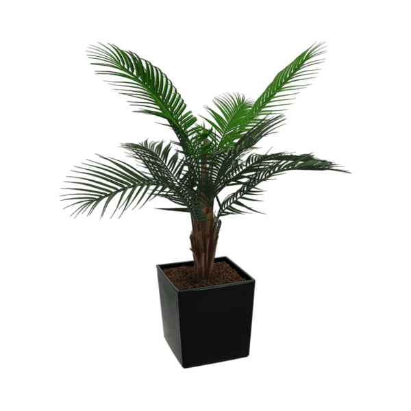 Artificial Outdoor Mountain Palm at Evergreen Direct