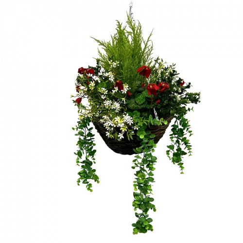 Conifer & Cyclamen Hanging Basket-Pink