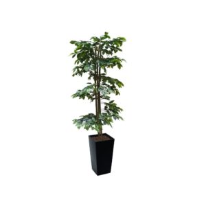 Artificial Green Ficus Spiral Tree 150cm - Medium Triangle Timber Corner Planter