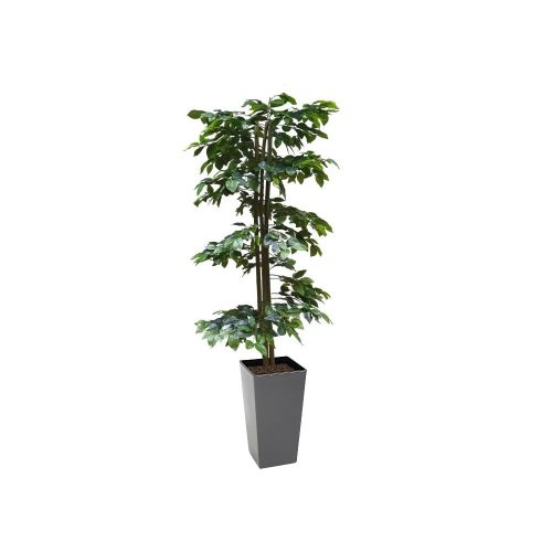 Artificial Green Ficus Spiral Tree | Evergreen Direct