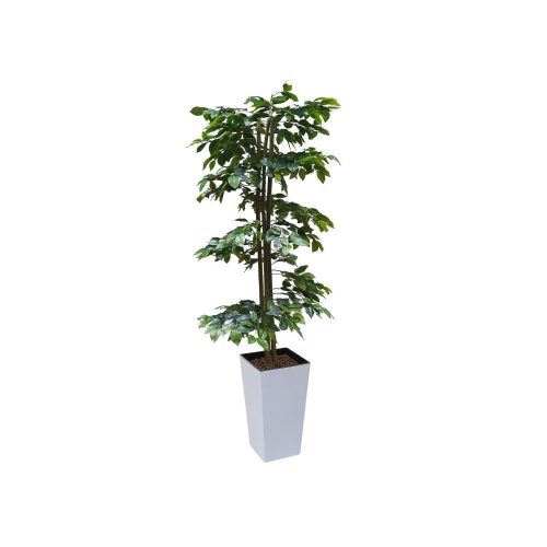 Artificial Green Ficus Spiral Tree | Evergreen Direct