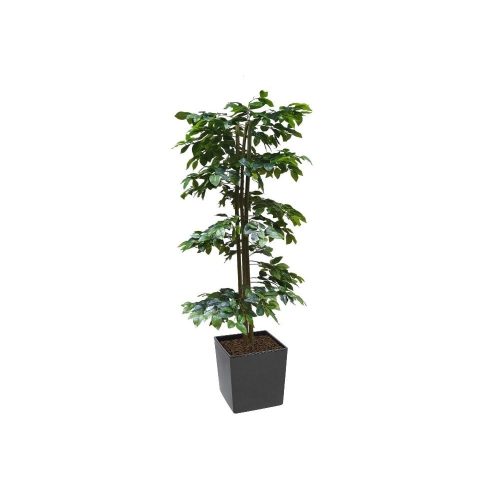 Artificial Green Ficus Spiral Tree | Evergreen Direct