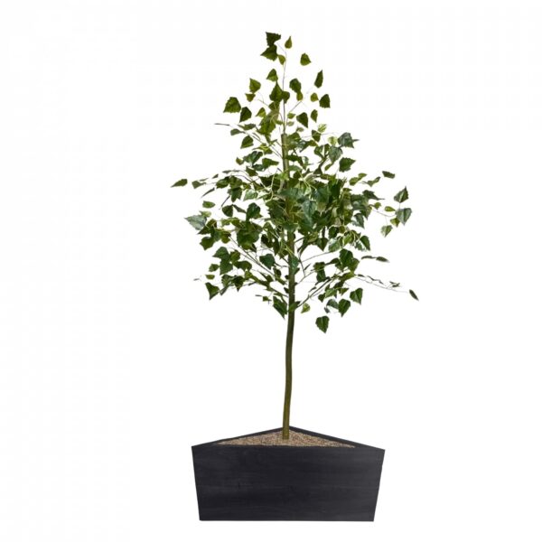 Artificial Spring Birch Tree  | Evergreen Direct