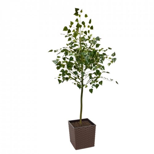 Artificial Spring Birch Tree  | Evergreen Direct