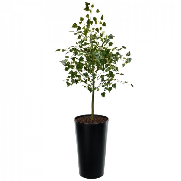 Artificial Spring Birch Tree  | Evergreen Direct